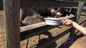 Nicole Nichols Central Cali Part 1